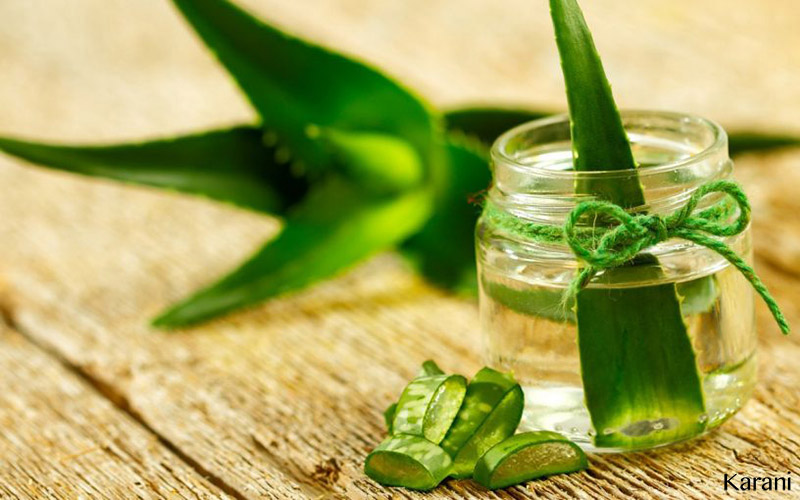 Aloe vera – Kosmetický zázrak